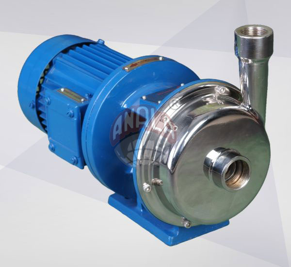 STUB SHAFT MONOBLOCK SS PUMPS - ANALAPUMPS